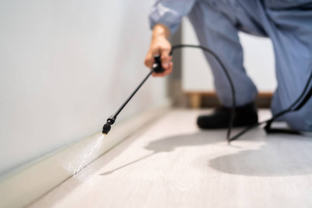 Licensed Pest Control service in Houston, AK - Show Me Pest Control